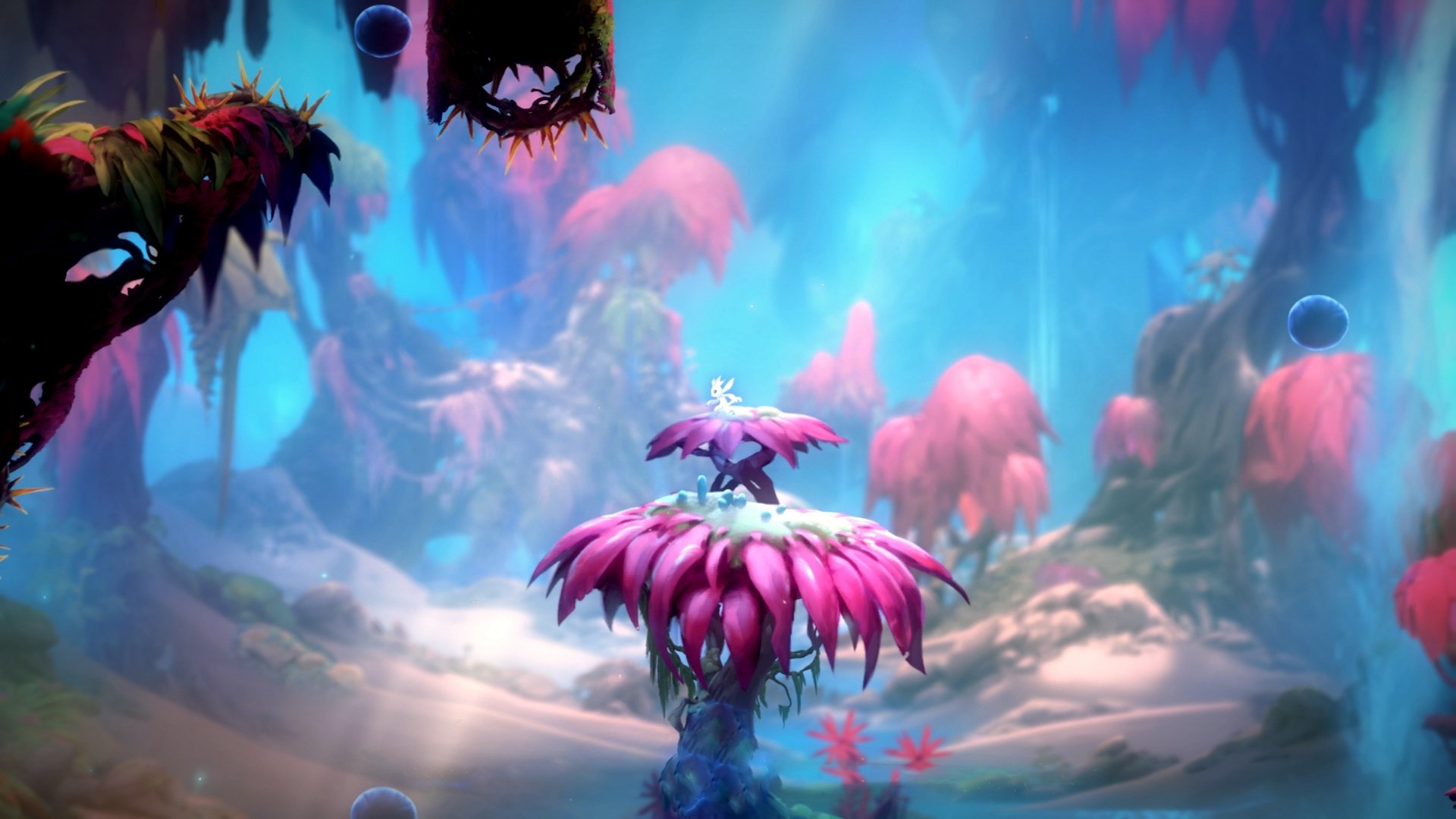 “安赫尔·巴尔博萨的个人突破与配合打击力，成就阿根廷美洲狮队的进攻多样性”