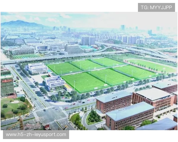 2026年足球青训基地设备采购与验收公示更新,青少年足球训练基地